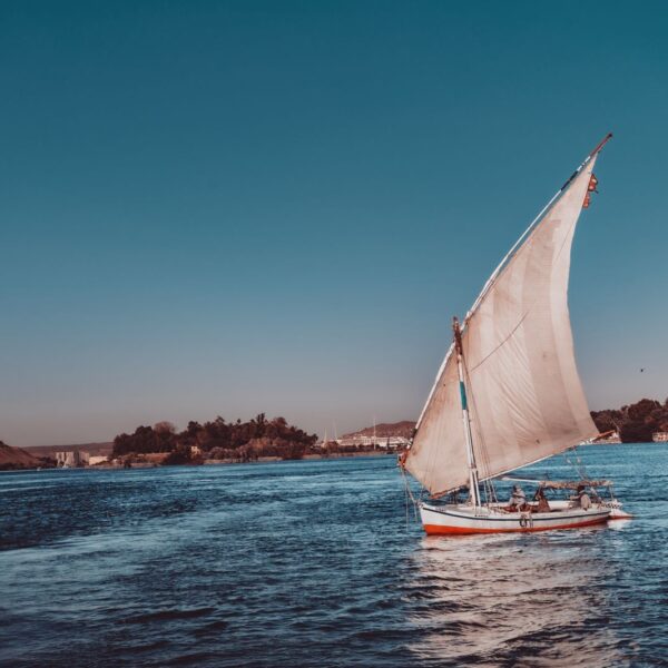 The Nile's White Wing